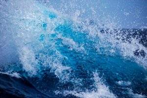 The tops, crests of waves during a storm are illuminated by sunlight close-ups, the Arctic, the Barents Sea.